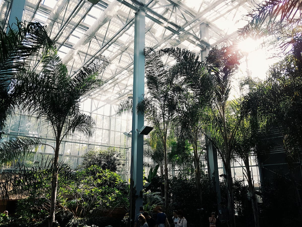Exploration botanique mondiale : découvrez les plus éblouissants jardins botaniques pour les voyageurs passionnés