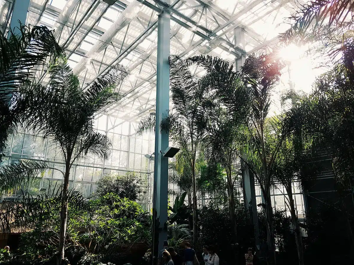 Exploration botanique mondiale : découvrez les plus éblouissants jardins botaniques pour les voyageurs passionnés