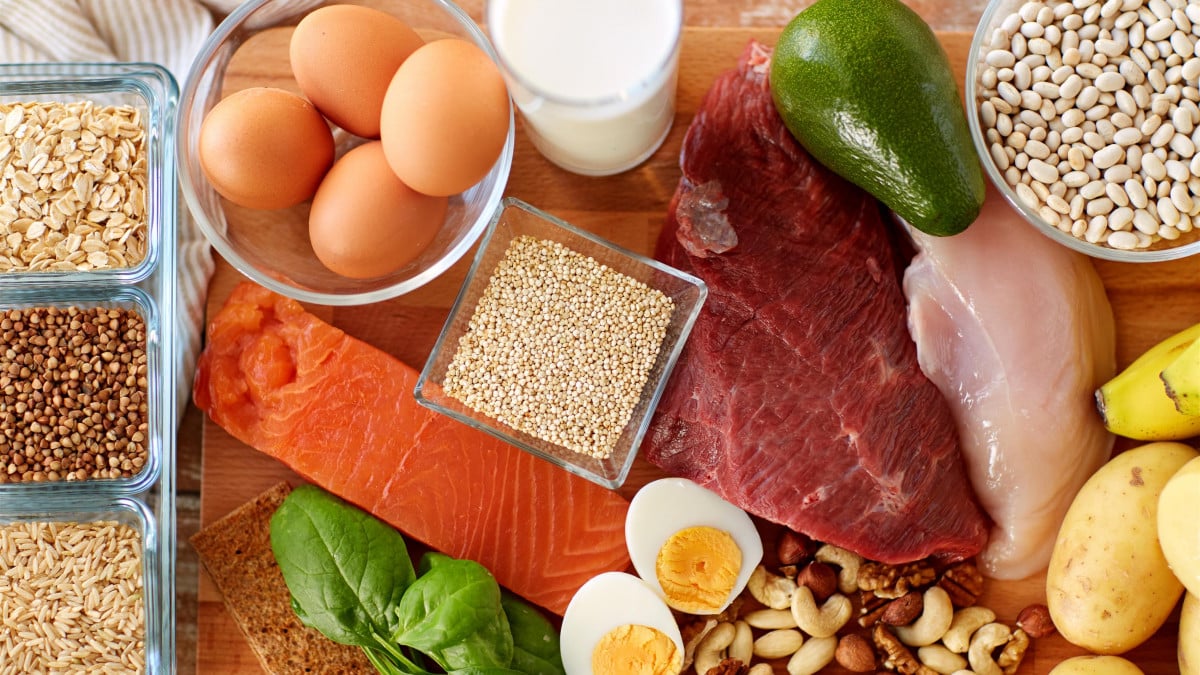 Aliments riches en protéines quels sontils